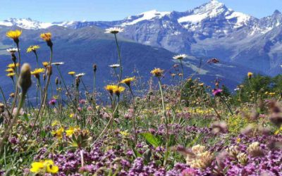 Cosa fare in Valle d’Aosta in estate